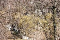 IMG_8715